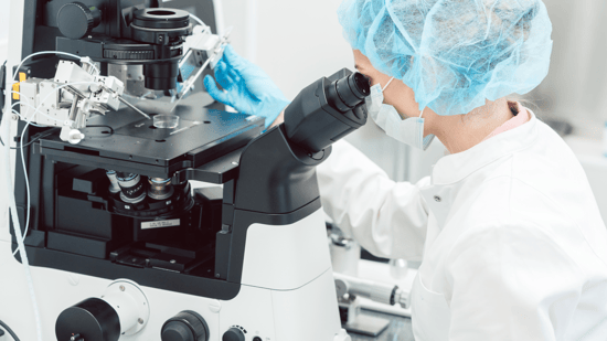 an embryologist looks into a microscope in an IVF laboratory