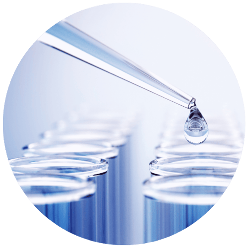 Illume Circle Photo_Web Image Template (6)