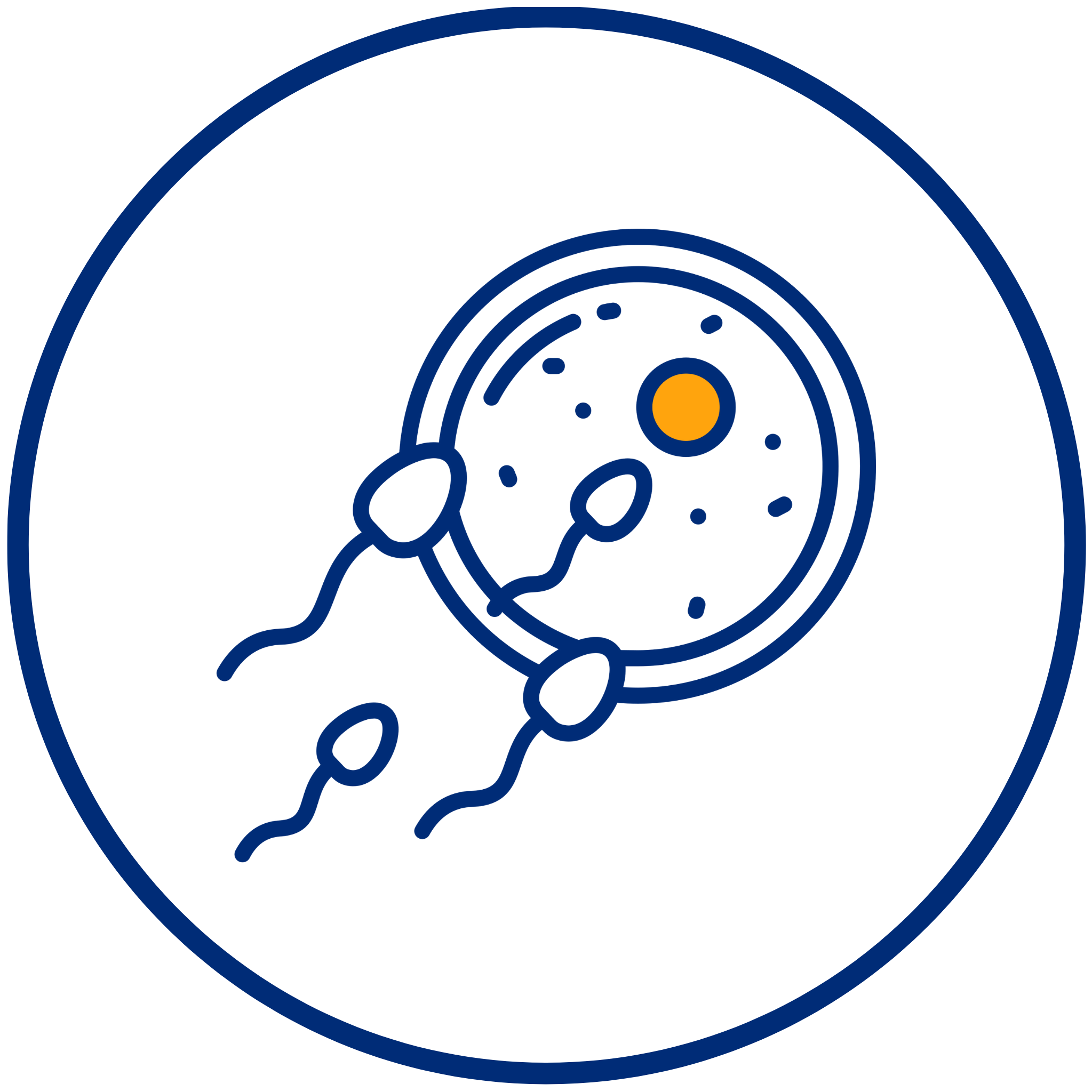 1-fertilization-of-egg-embryo