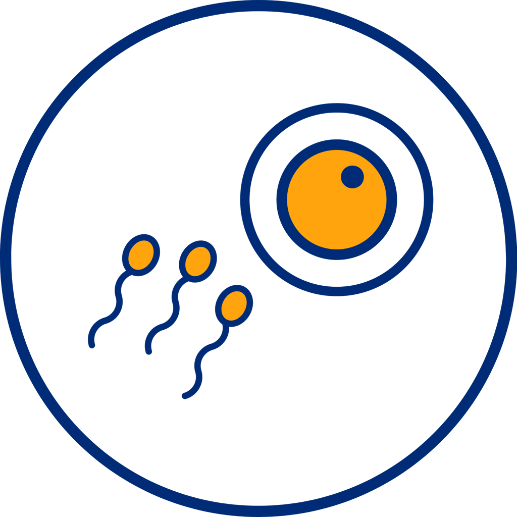 IUI Cost Guide: Pricing, Coverage, and What to Expect | Illume Fertility