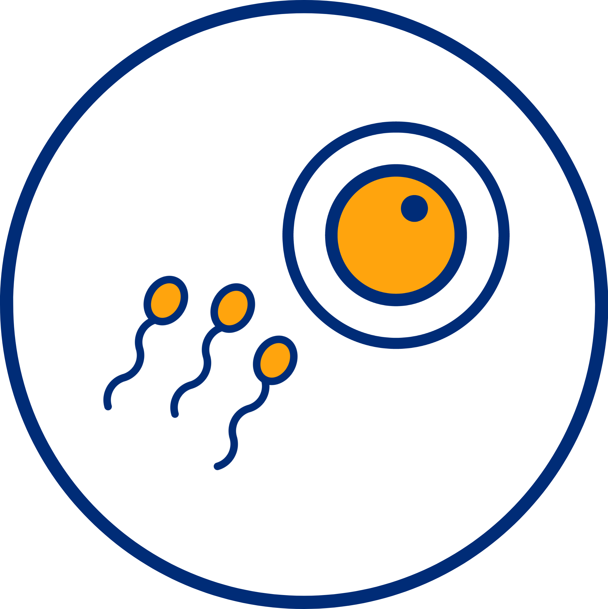 egg + sperm