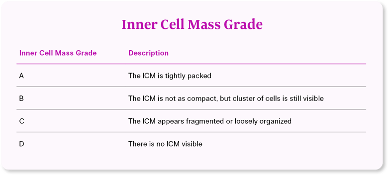 Illume_EmbryoGradingCharts_28Sept_innercell