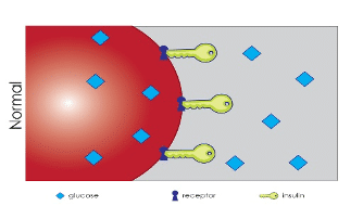 RMACT_ProperInsulin