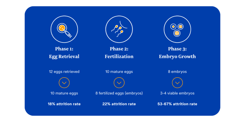 attrition rate phases (3)