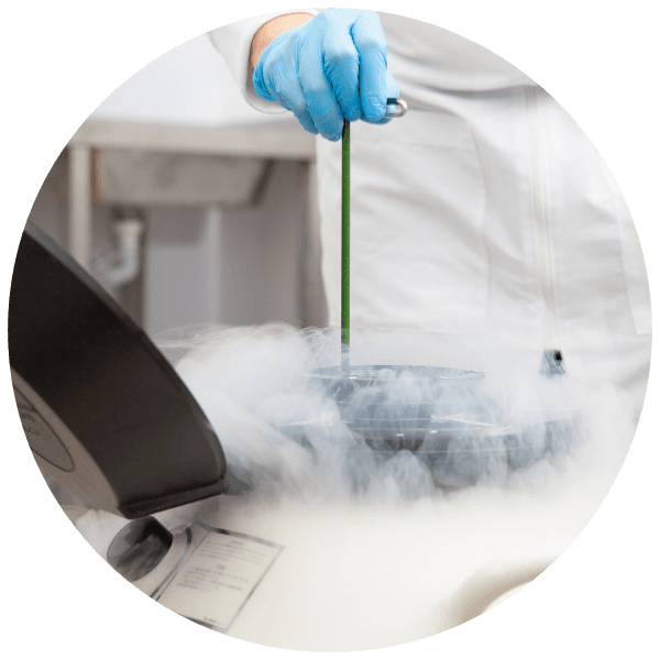 cryostorage (1)