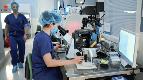 embryology lab IVF attrition rate microscope lab staff