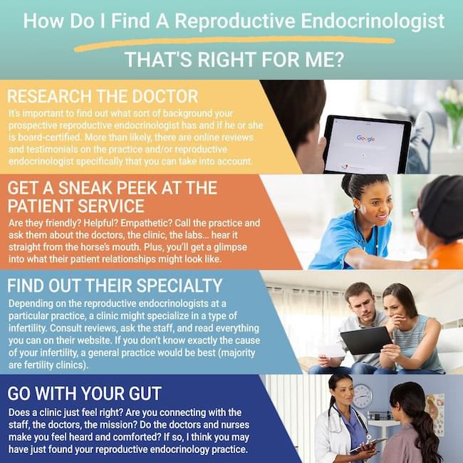 Reporductive-Endocrynologist-vs-Fertility-Specialist-img