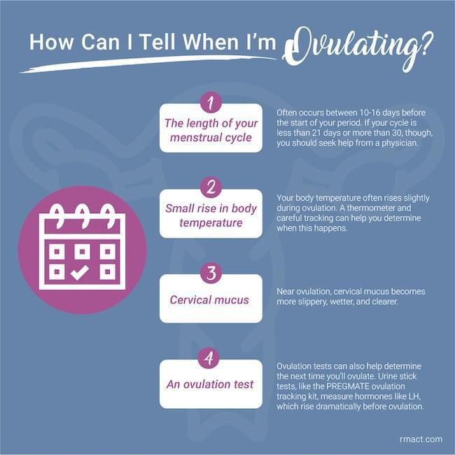 Fertility Testing 101 AtHome Testing vs. Fertility Clinic