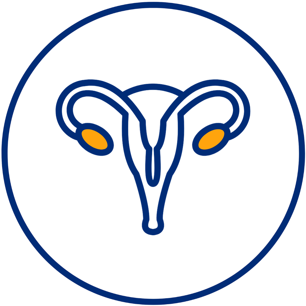 uterus icon