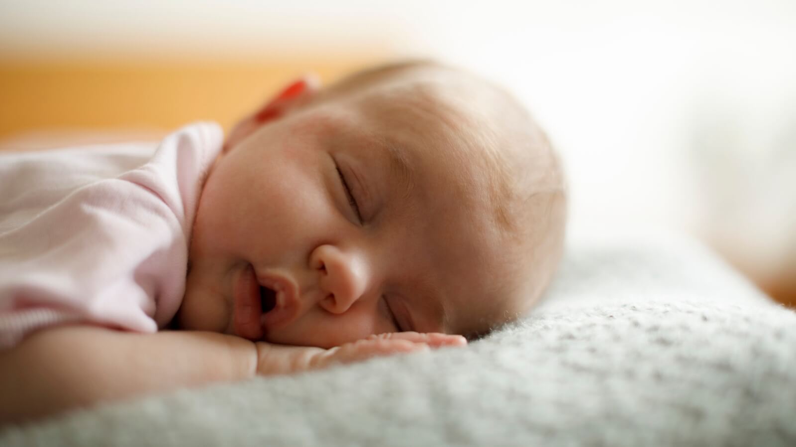 What is the Average Cost of Surrogacy in the United States? (2024)