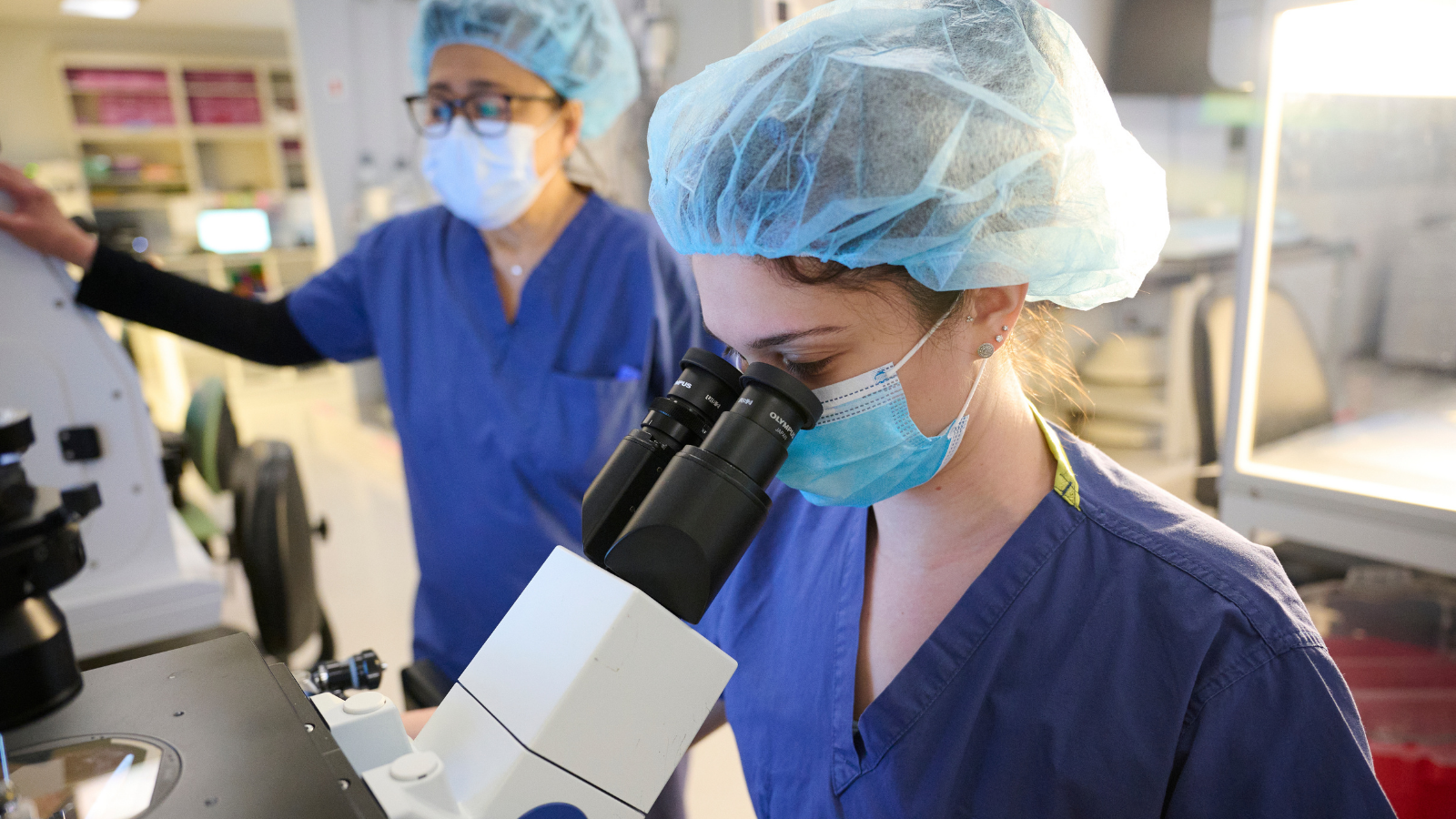 Top 5 Embryology Questions (Answered by an Expert)